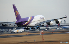  「晴れ」 THAI A380-841 HS-TUA 空港・風景　