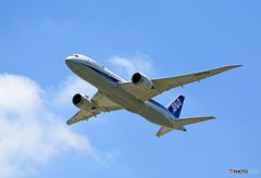 「良い空～」 ANA 787-8 JA874A Takeoff 