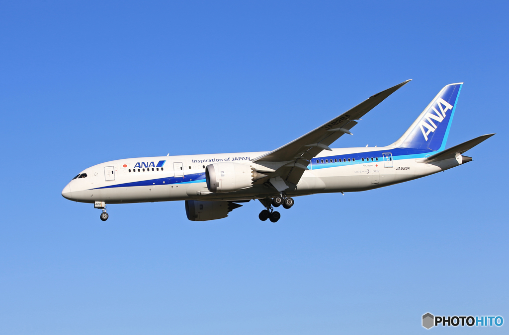 「クール」ANA 787-8 JA828A  Landing
