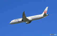 「青色が好き」 JAL 787-9 JA870J  離陸です