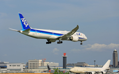 「そらー」 ANA 787-9 JA891A 到着