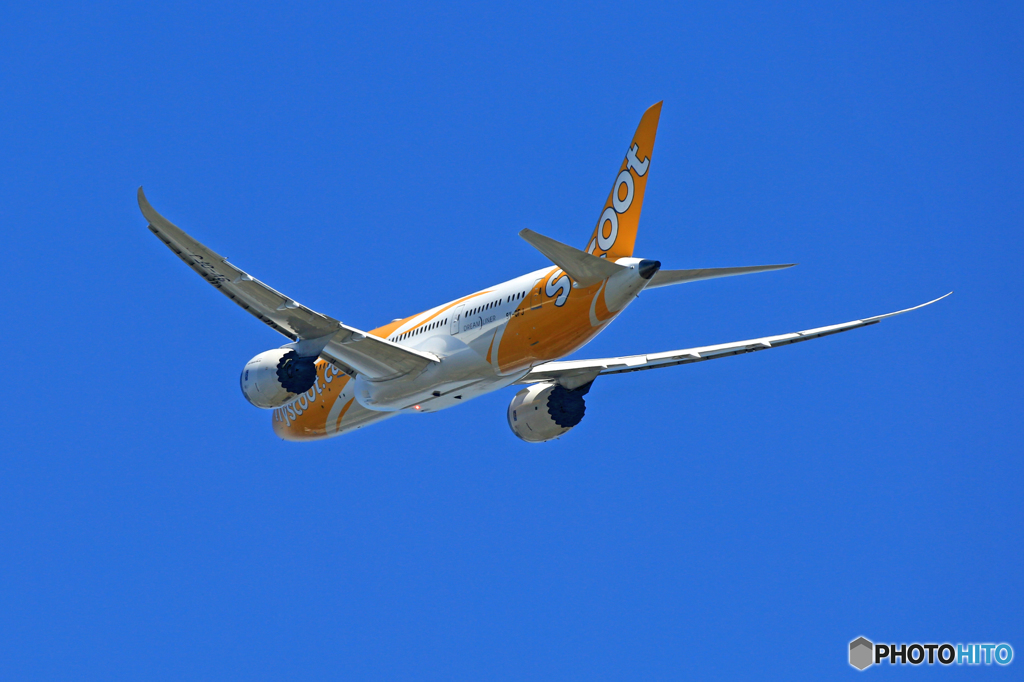  「晴れ」 scoot 787-8 9V-OFJ 飛ぶ