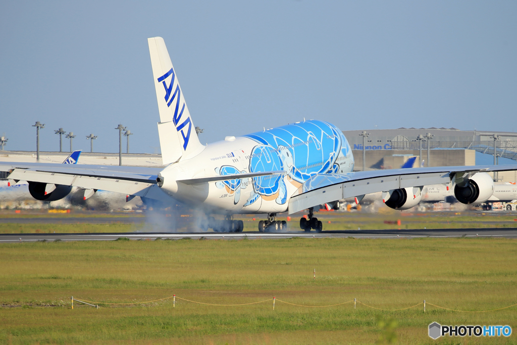 「青い日」A380-841 Flying Honu  Landing です