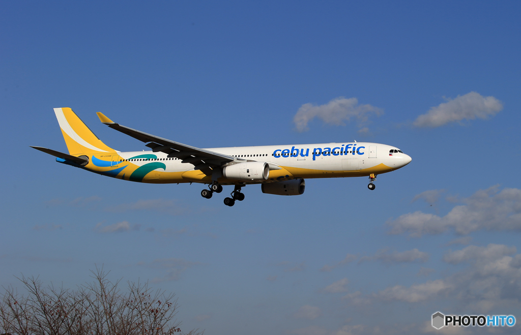 ☀「青い空」が一番  CEBU A330-343  到着