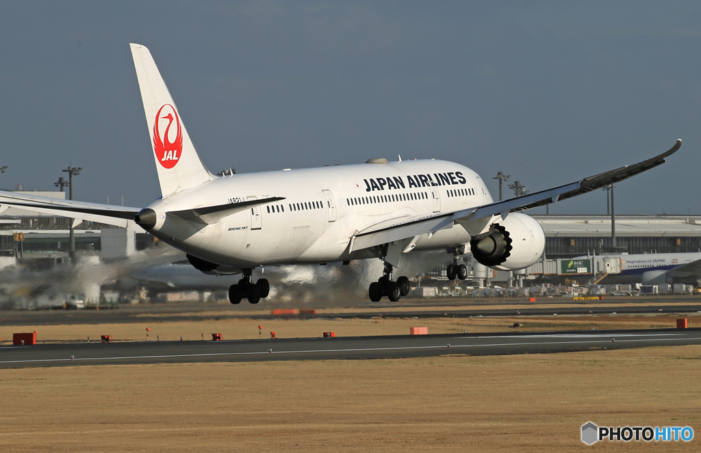 「雨」 JAL 787-9 JA821J Landing