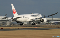 「雨」 JAL 787-9 JA821J Landing