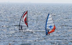 「スカイ」今日も気持ちがいいね