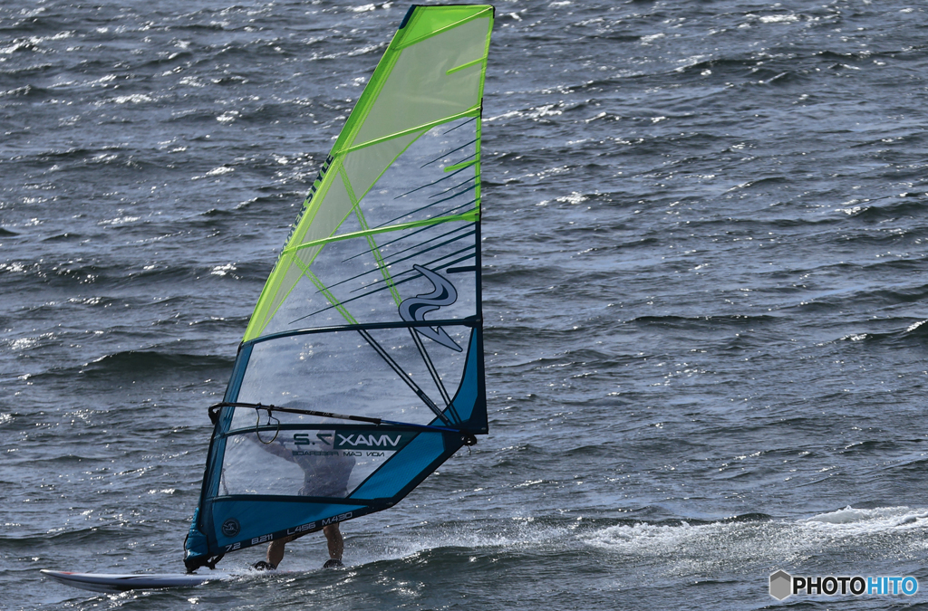 「青色が好き」泳ぎ出す