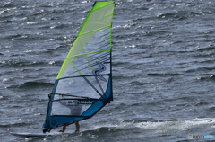 「青色が好き」泳ぎ出す