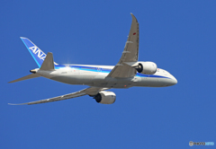 「青色」 ANA 787-8 JA828A 飛び立ちです