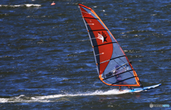 「群青色」よ い し ょ (2)