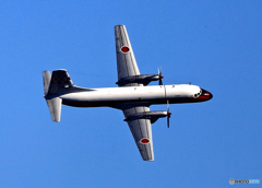 「青い空」と 綺麗な Y S -１１