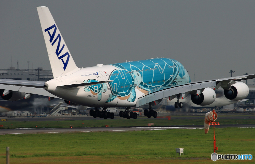 「すかい」ANA Flying Honu A380 Landing