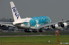 「すかい」ANA Flying Honu A380 Landing