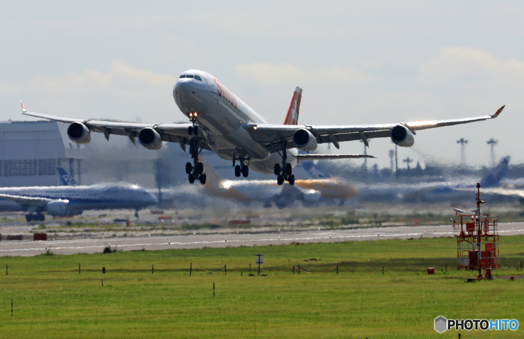 「青が大好き」 SWISS A340-313 HB-JMC 離陸