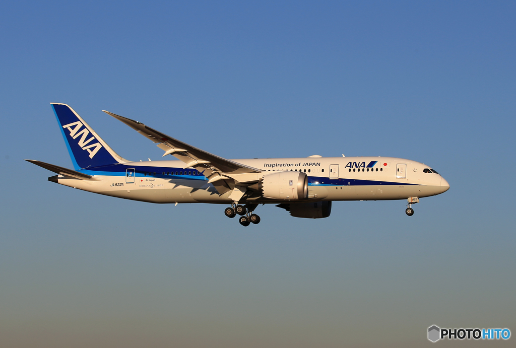 「空色」 ANA 787-8 JA822A Landing
