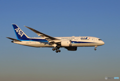 「空色」 ANA 787-8 JA822A Landing