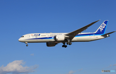 「Blue」 ANA 787-9 JA882A Landing 
