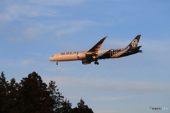 「青い日」NZ' 787-9 ZK-NZC  着陸します