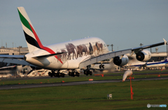 「青が好き」 エミレーツ動物愛護機 A380 着陸します