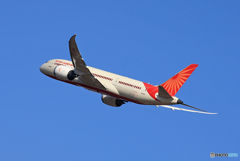 ☆「ブルー」AIR INDIA 787-8 VT-ANS 