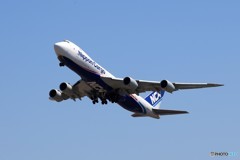 「群青色」NCA 747-8KZF JA17KZ Takeoff　