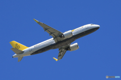 「真青の空」ロイヤルブルネイ王国 A320-251 出発