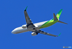 「ぶるー」 春秋航空 737-8AL JA04GR 離陸