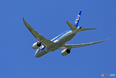 「すかい」 ANA 787-8 JA814A Takeoff