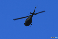 「ブルー」ヘリコプター飛来　コブラ　AH-1S
