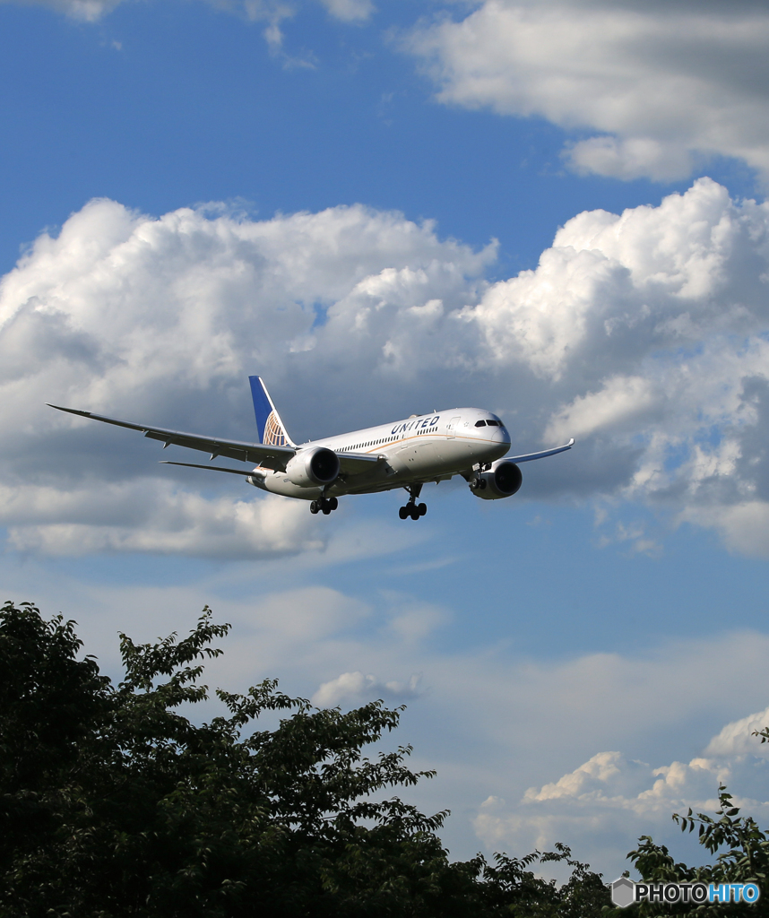 「Blue」 UNITED 787-8   Landing 