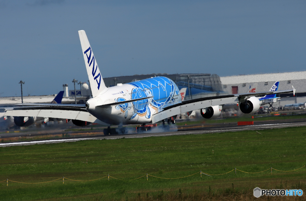 「青」 A380-841 Flying Honu JA381A 着陸です