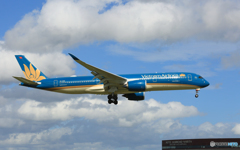 「スカイ」 Vietnam A350-941 VN-A896 飛行