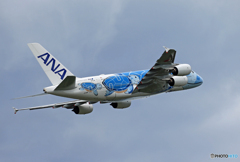 「青の空 」Flying Honu チャーターフライトで飛ぶ