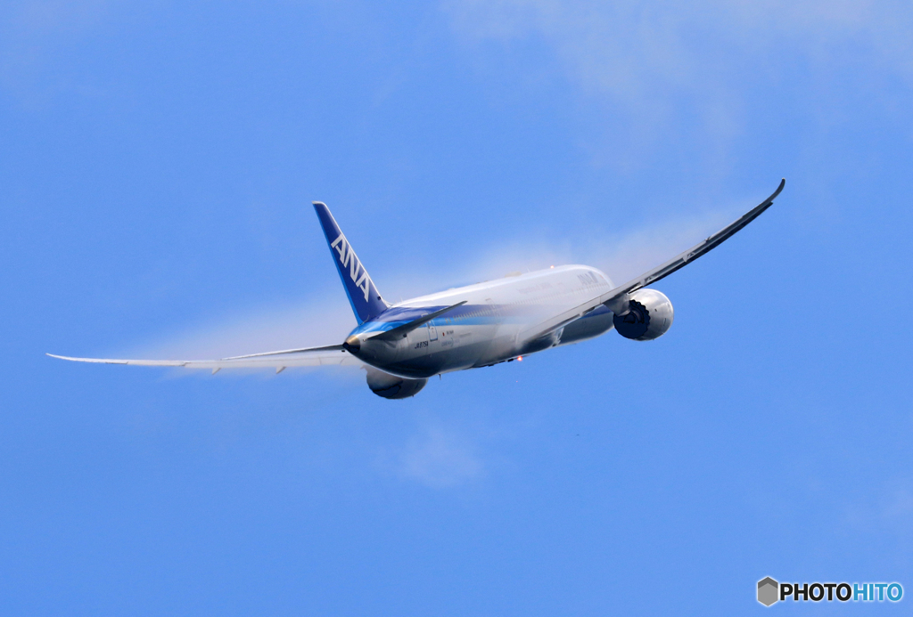 「真青の空」 ANA 787-9 飛ぶ べいぱー