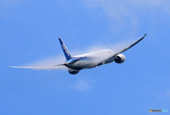 「真青の空」 ANA 787-9 飛ぶ べいぱー