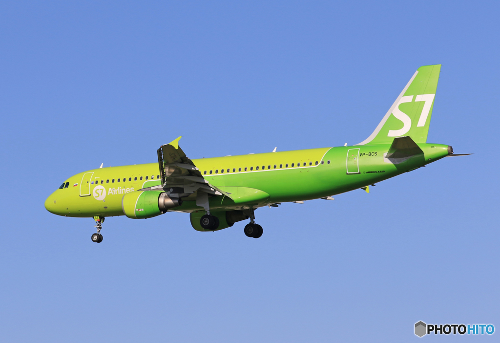 「あおいそら」 S7 A320-214 VP-BCS 飛行