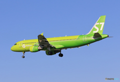 「あおいそら」 S7 A320-214 VP-BCS 飛行