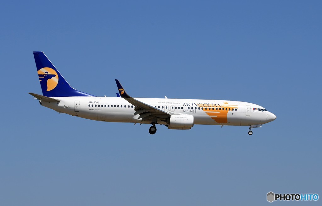「青が好き」 Mongolian 737-800 JU-1015 