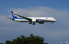 「すかい」ANA 787-9 JA922A  ☆到着です