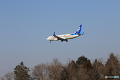 [青い空]東北フラワージェット737-881 着陸します