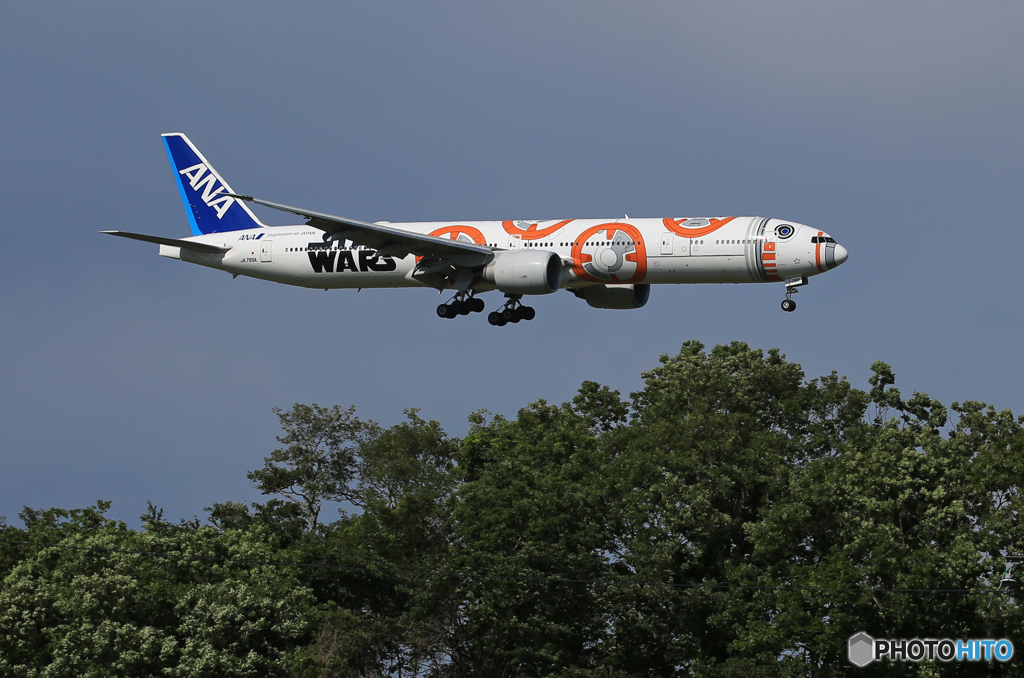 「蒼空」STAR WARS 777-381 さくらの山