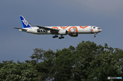 「蒼空」STAR WARS 777-381 さくらの山