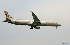「スカイ」 ETIHAD 787-9 A6-BLM Landing