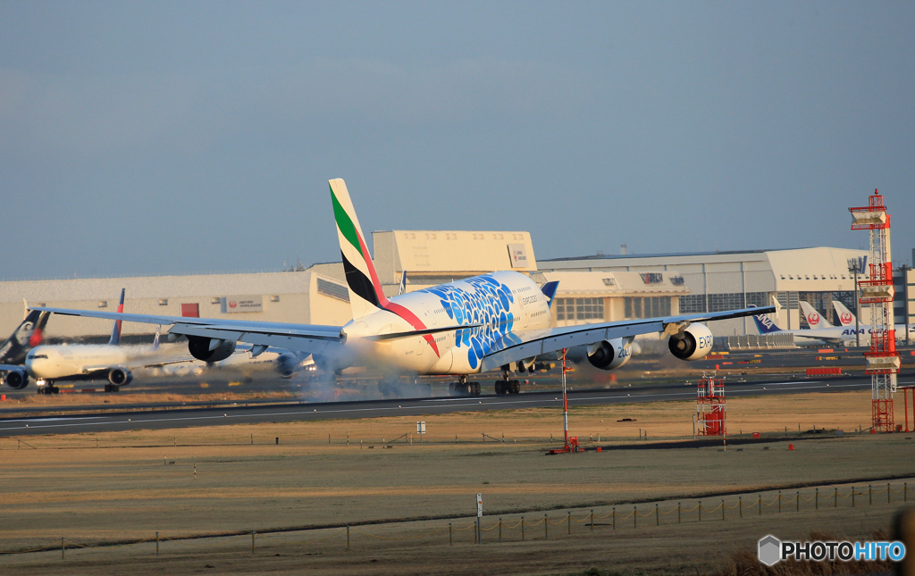 「ブルー」 EMIRATES 特別塗装(2) タッチアンド