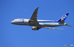 ☀「青い空」が一番  ANA 787-8  Landing