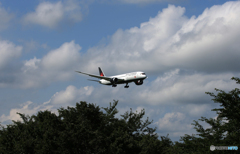 「SKY」良い雲　Air Canada 787-9 Landing