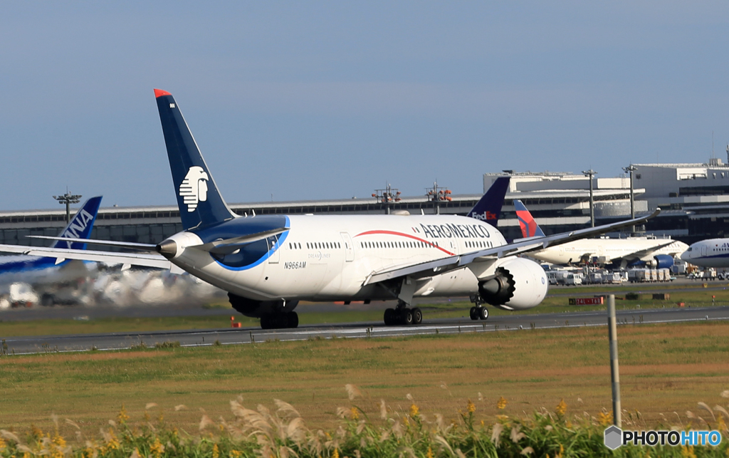 「ブルー」AEROMEXICO 787-8 N966AM Takeoff