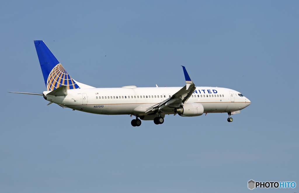 「はれ」UNITED 737-800 シミター N37293