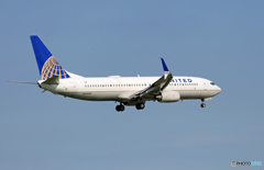 「はれ」UNITED 737-800 シミター N37293